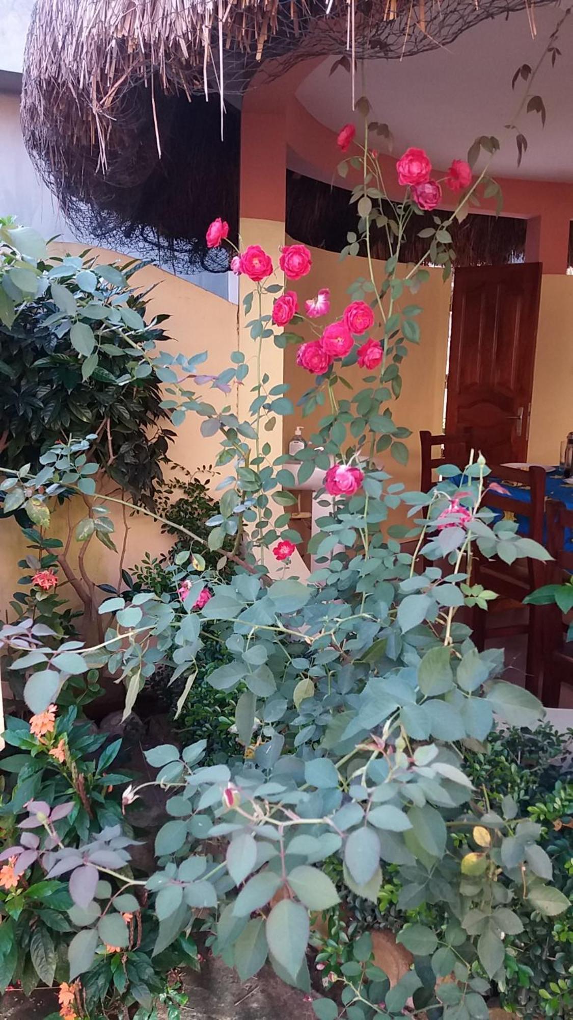 Bed and Breakfast Chez Sabine Abomey Экстерьер фото
